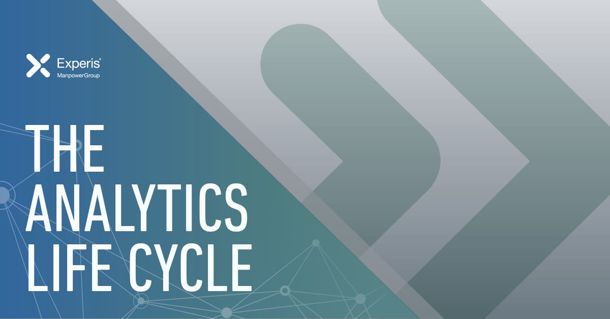 Image reads "The Analytics Life Cycle"